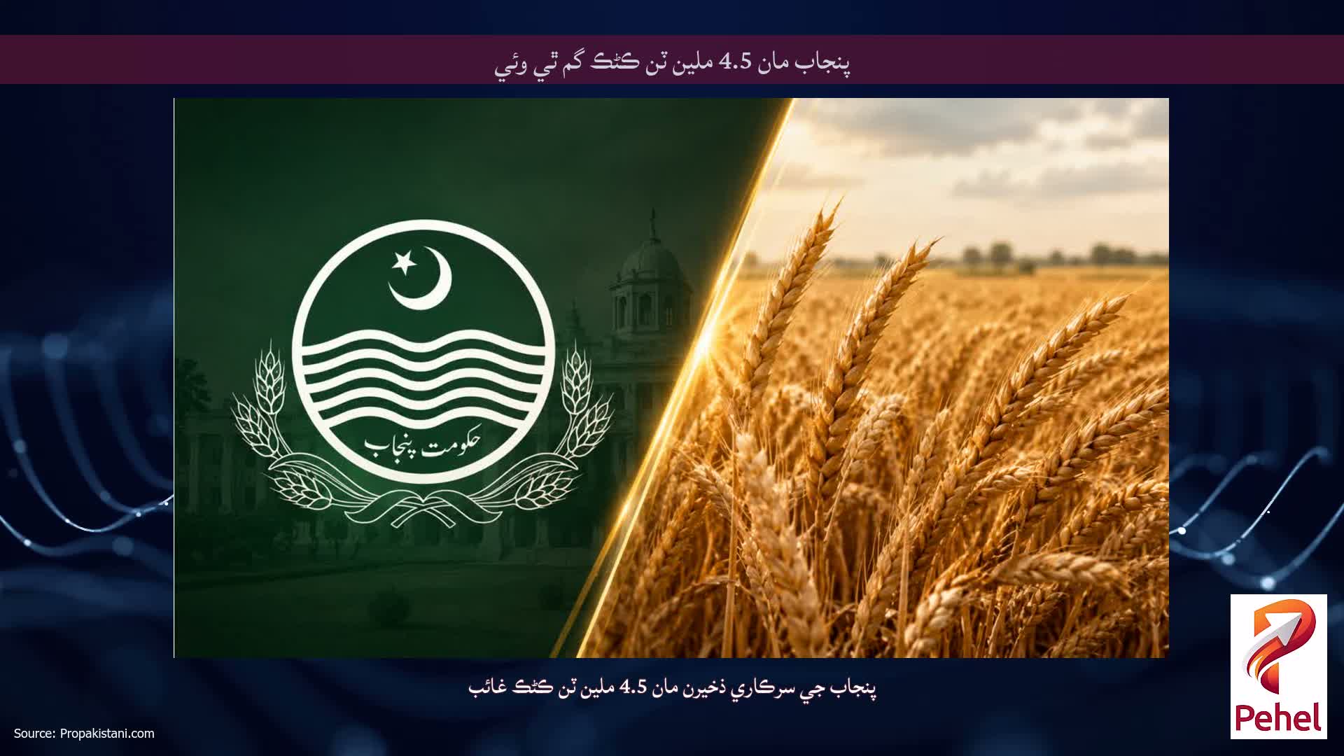 پنجاب مان 4.5 ملين ٽن ڪڻڪ گم ٿي وئي