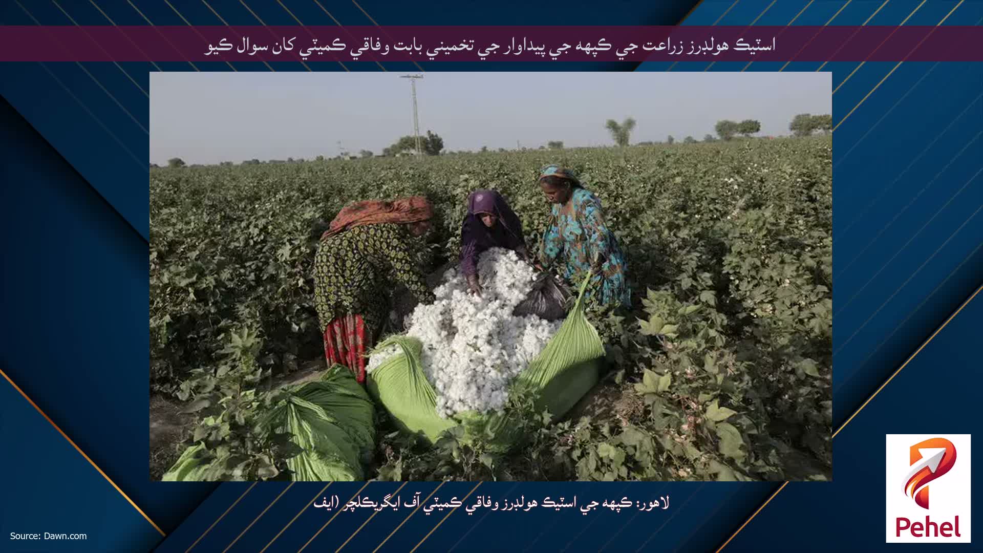 اسٽيڪ هولڊرز زراعت جي ڪپهه جي پيداوار جي تخميني بابت وفاقي ڪميٽي کان سوال ڪيو
