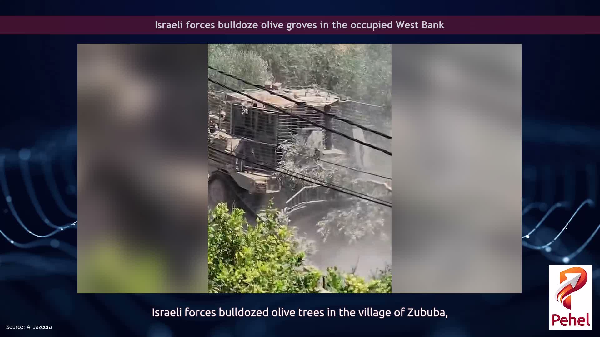 Israeli forces bulldoze olive groves in the occupied West Bank
