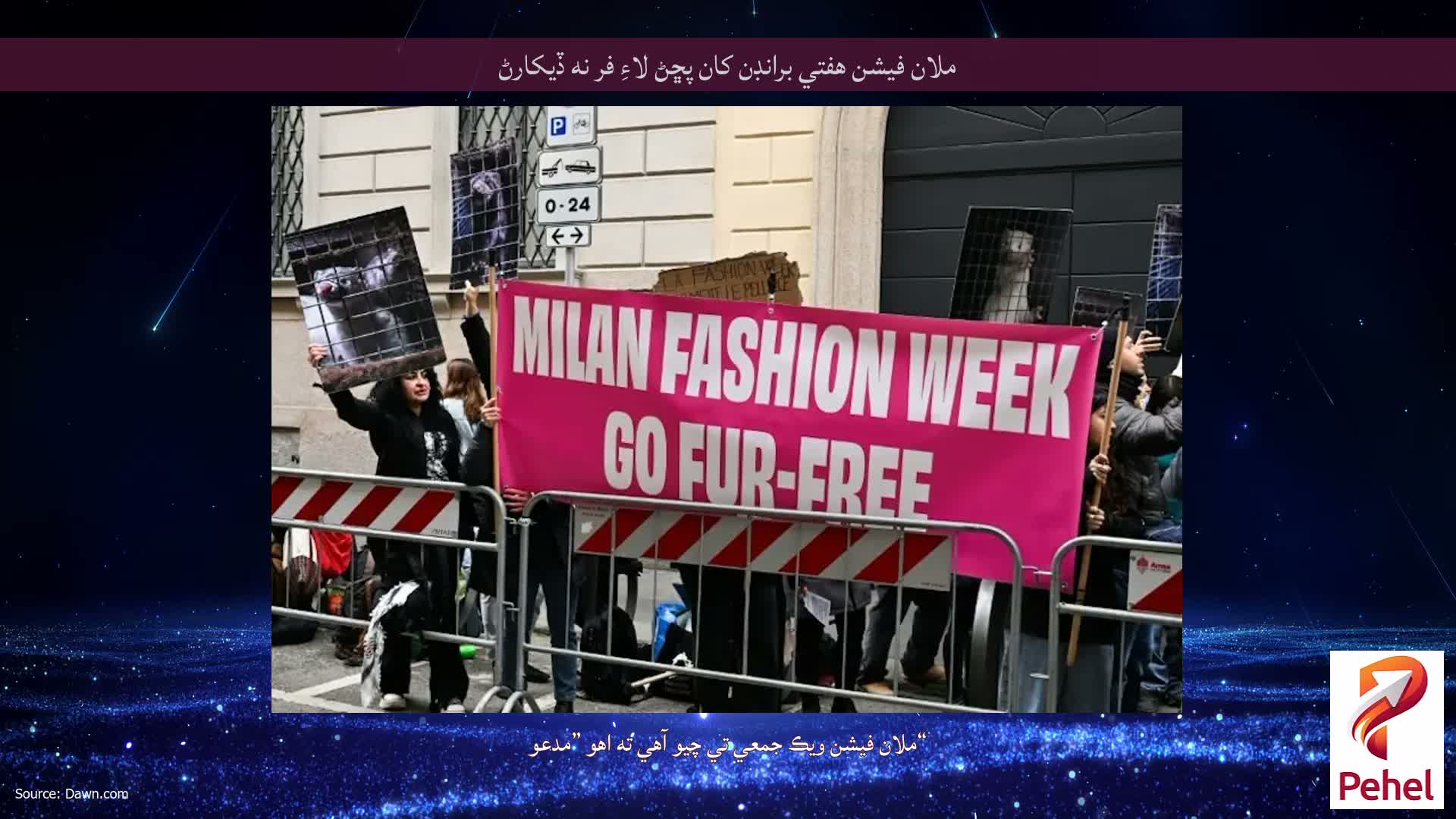 ملان فيشن هفتي برانڊن کان پڇڻ لاءِ فر نه ڏيکارڻ