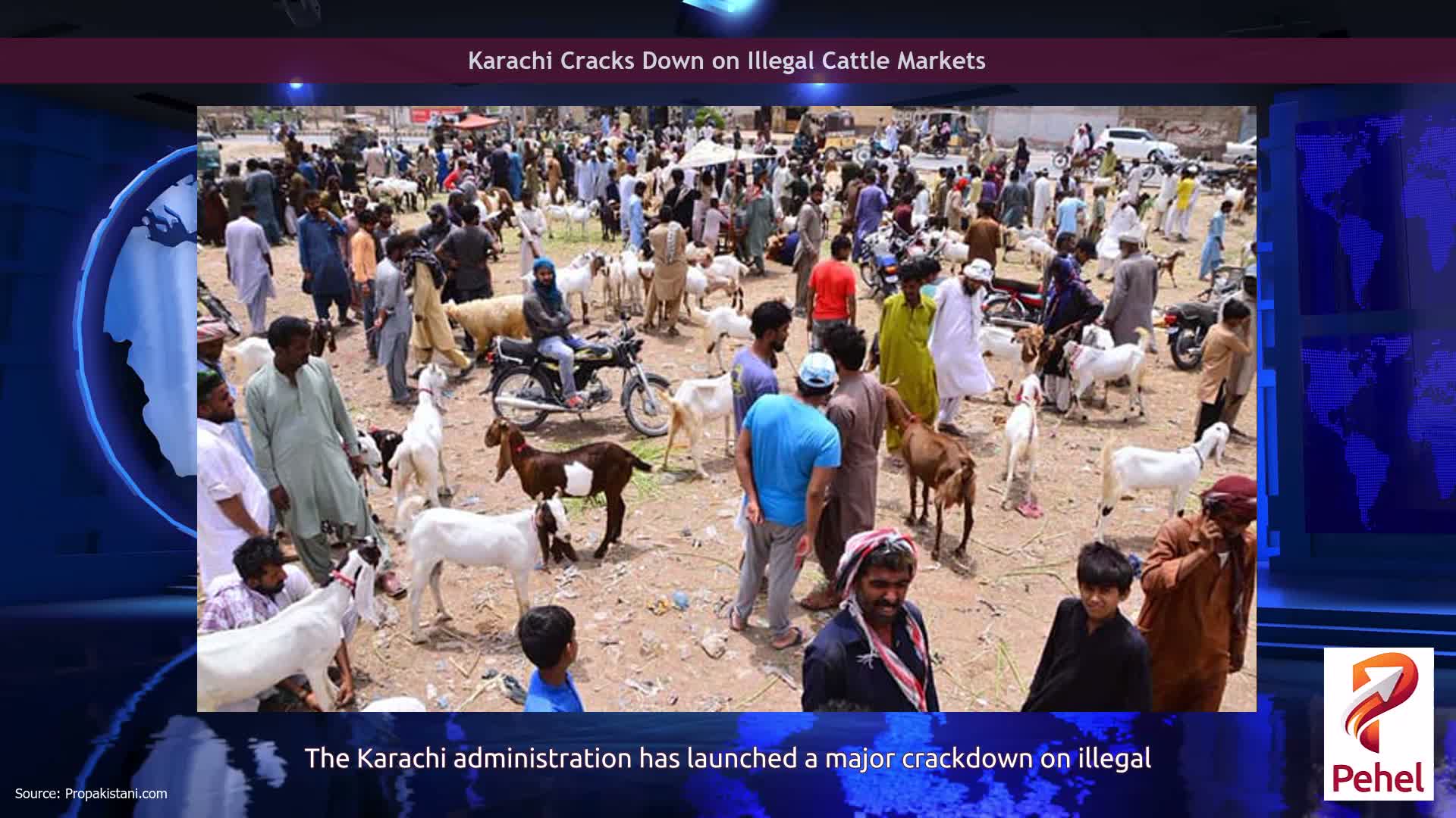 Karachi Cracks Down on Illegal Cattle Markets