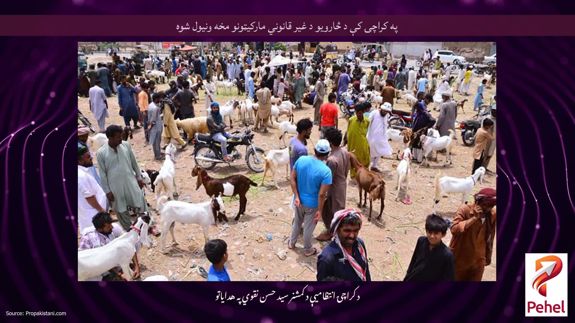په کراچۍ کې د څارویو د غیر قانوني مارکیټونو مخه ونیول شوه