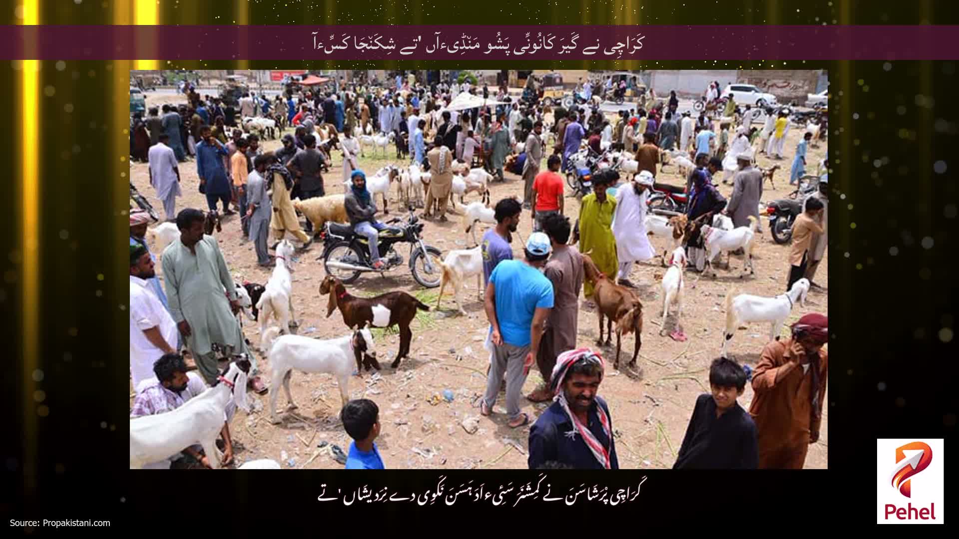 کَرَاچِی نے گَیرَ کَانُونِّی پَشُو مَن٘ڈِیءآں 'تے شِکَن٘جَا کَسِّءآ