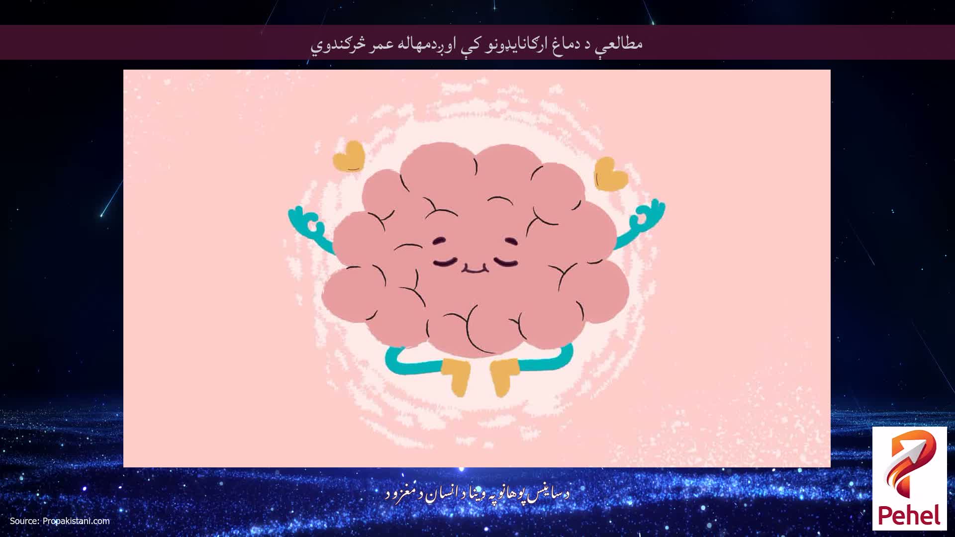 مطالعې د دماغ ارګانایډونو کې اوږدمهاله عمر څرګندوي