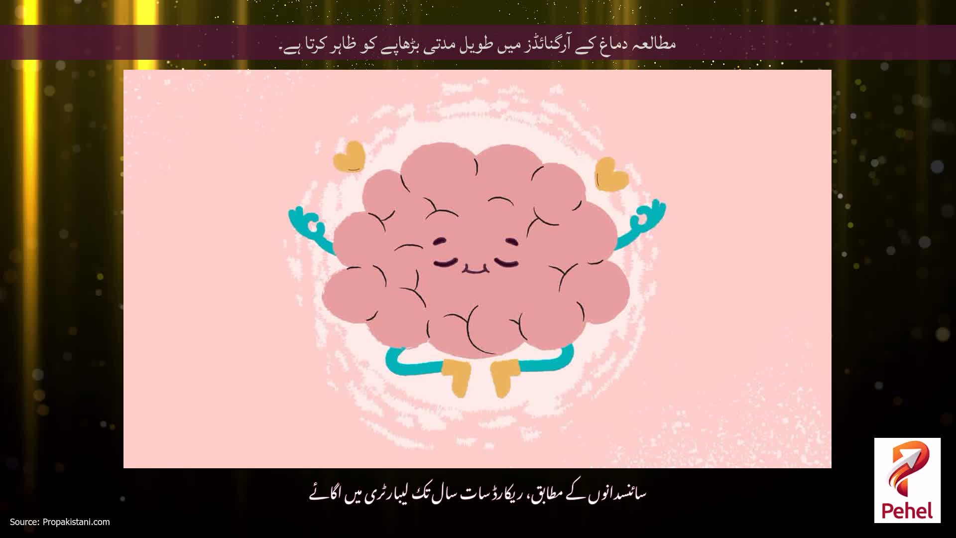 مطالعہ دماغ کے آرگنائڈز میں طویل مدتی بڑھاپے کو ظاہر کرتا ہے۔