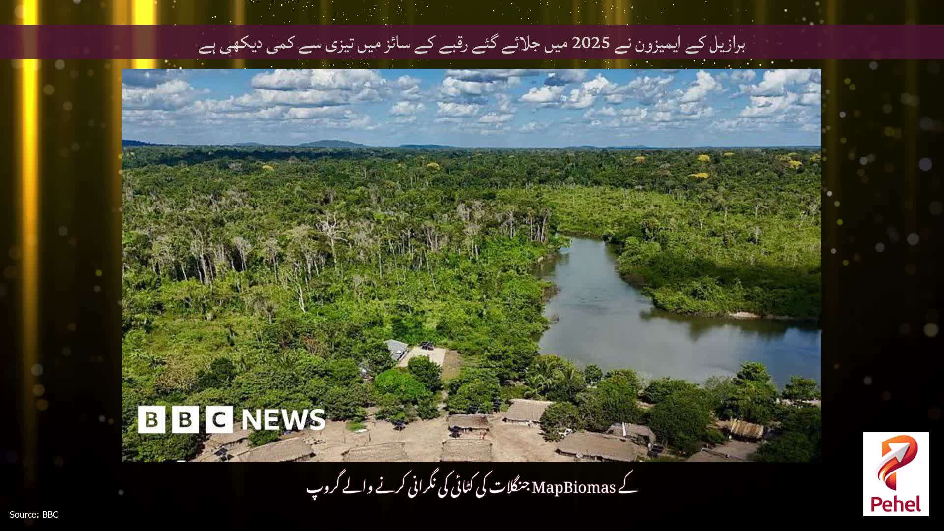 برازیل کے ایمیزون نے 2025 میں جلائے گئے رقبے کے سائز میں تیزی سے کمی دیکھی ہے