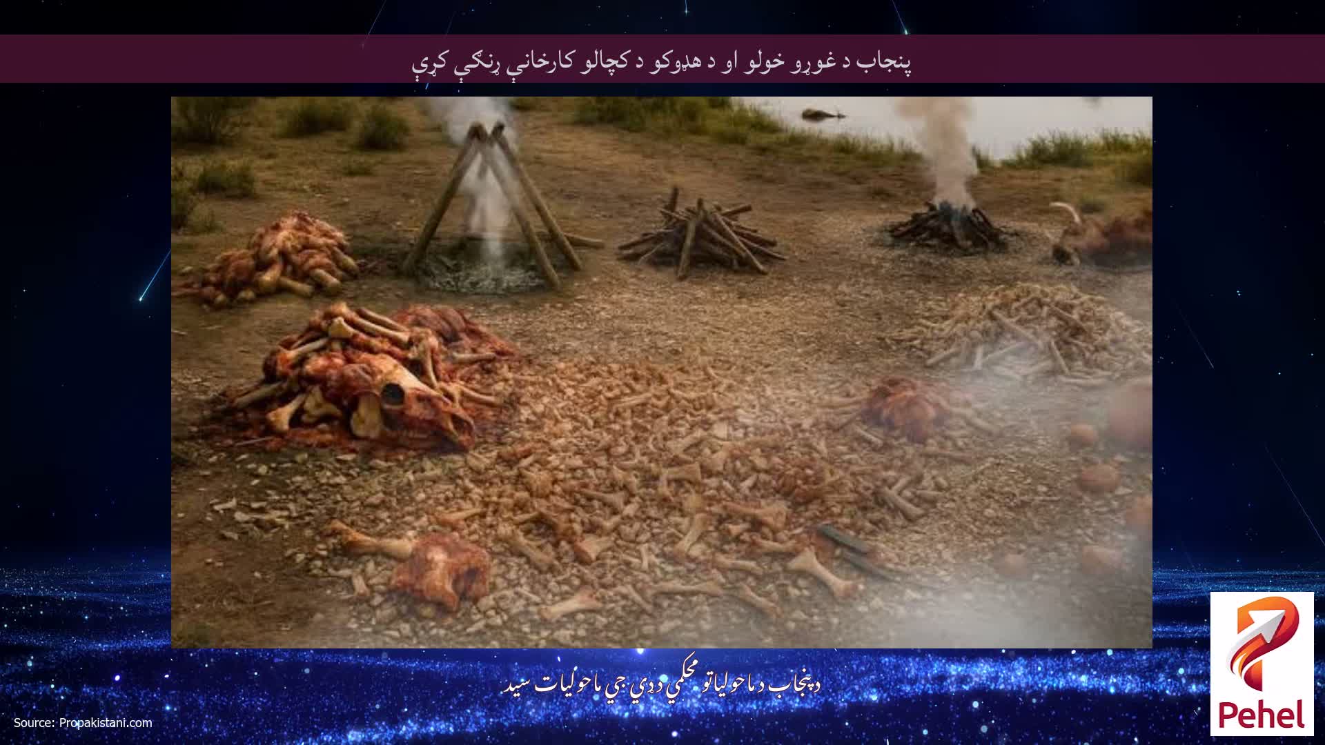 پنجاب د غوړو خولو او د هډوکو د کچالو کارخانې ړنګې کړې