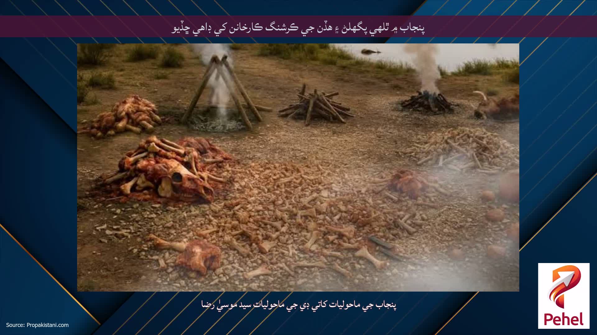 پنجاب ۾ ٿلهي پگھلڻ ۽ هڏن جي ڪرشنگ ڪارخانن کي ڊاهي ڇڏيو