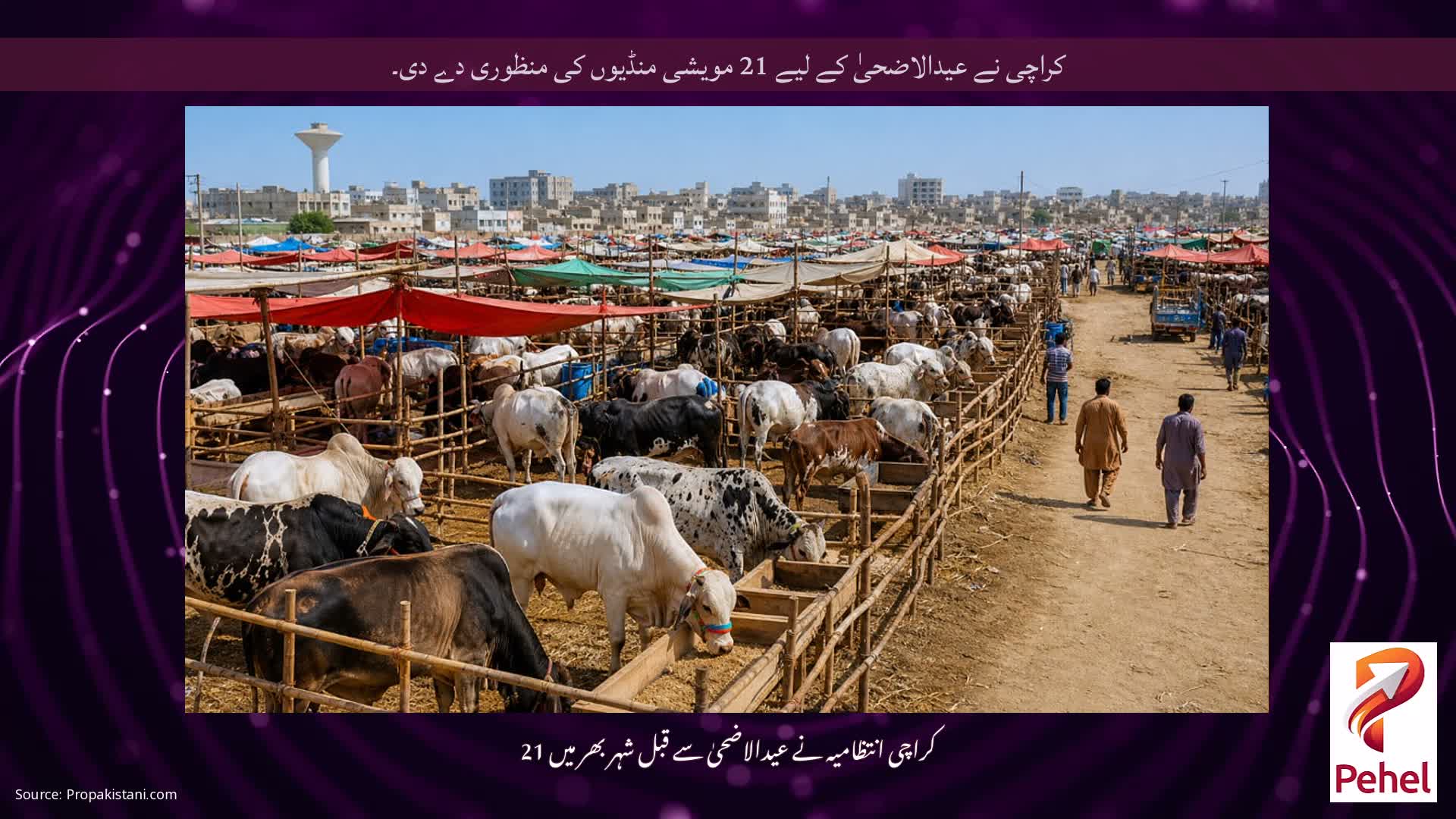 کراچی نے عیدالاضحیٰ کے لیے 21 مویشی منڈیوں کی منظوری دے دی۔