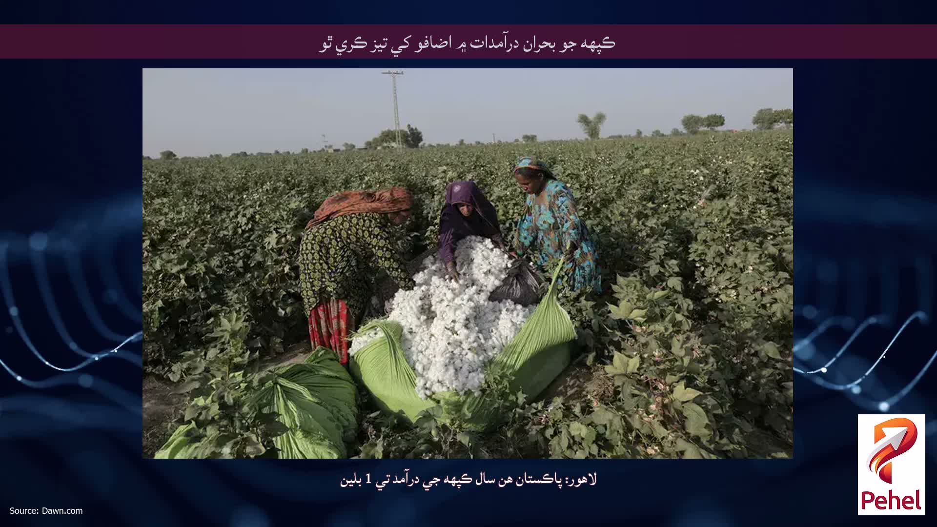 ڪپهه جو بحران درآمدات ۾ اضافو کي تيز ڪري ٿو