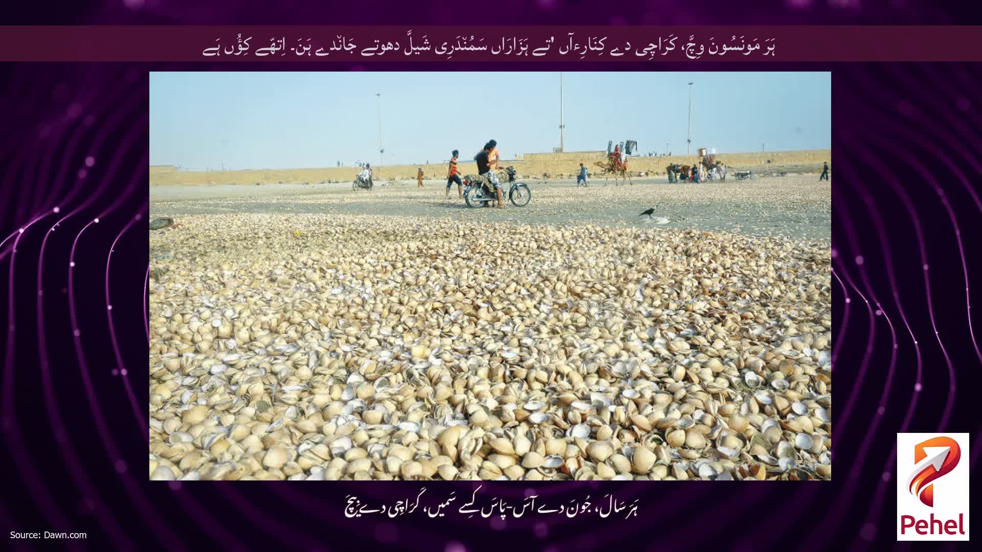 ہَرَ مَونَسُونَ وِچَّ، کَرَاچِی دے کِنَارِءآں 'تے ہَزَارَاں سَمُن٘دَرِی شَیلَّ دھوتے جَان٘دے ہَنَ۔ اِتھّے کِؤُں ہَے
