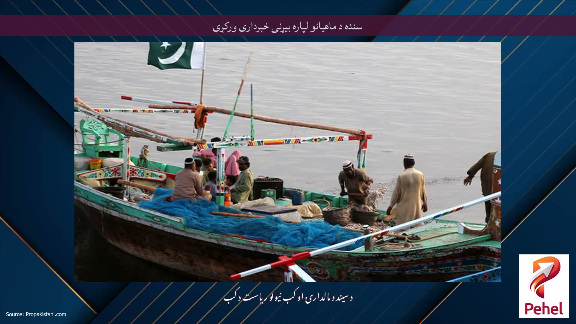 سنده د ماهیانو لپاره بیړنی خبرداری ورکړی