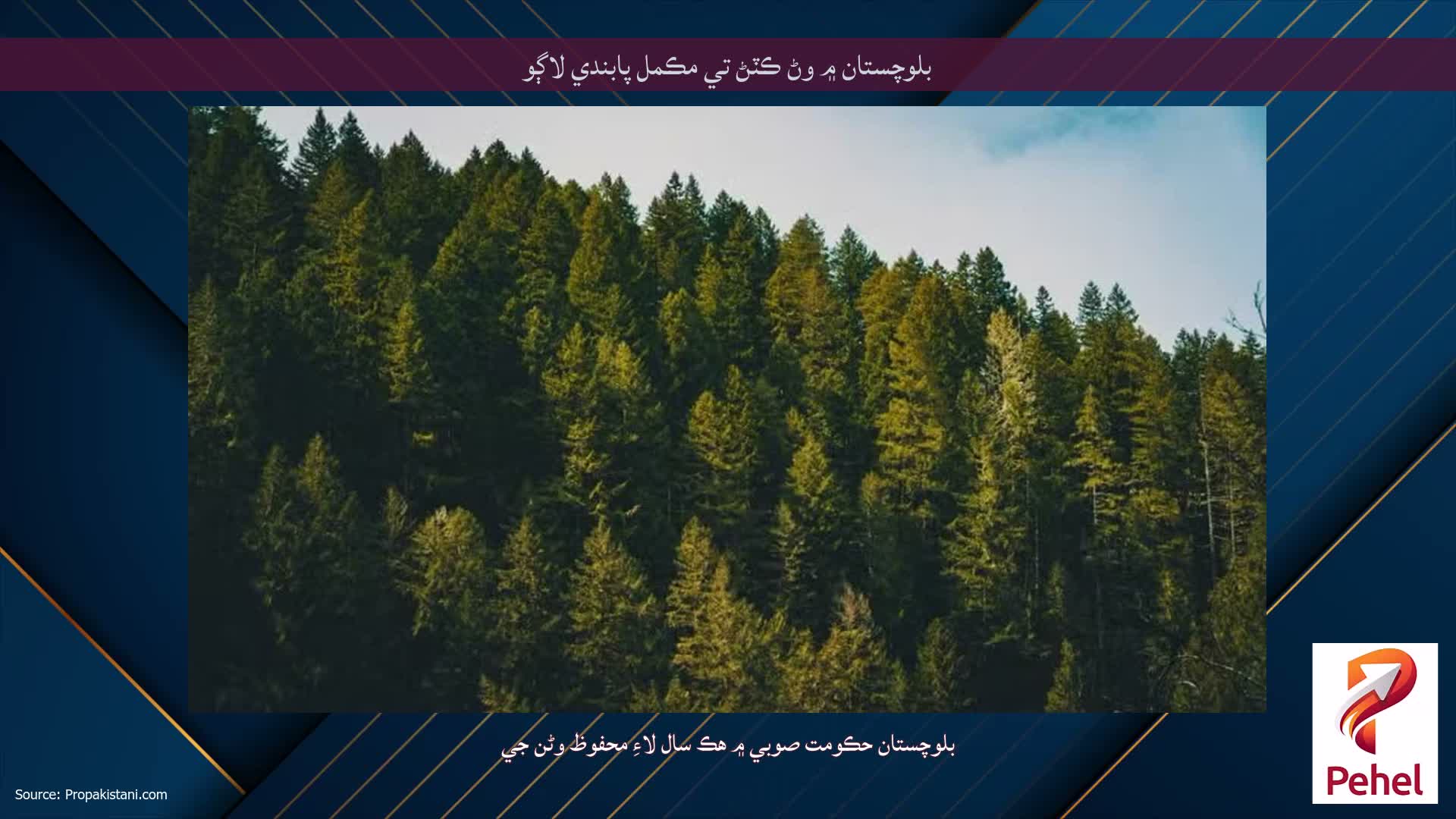 بلوچستان ۾ وڻ ڪٽڻ تي مڪمل پابندي لاڳو