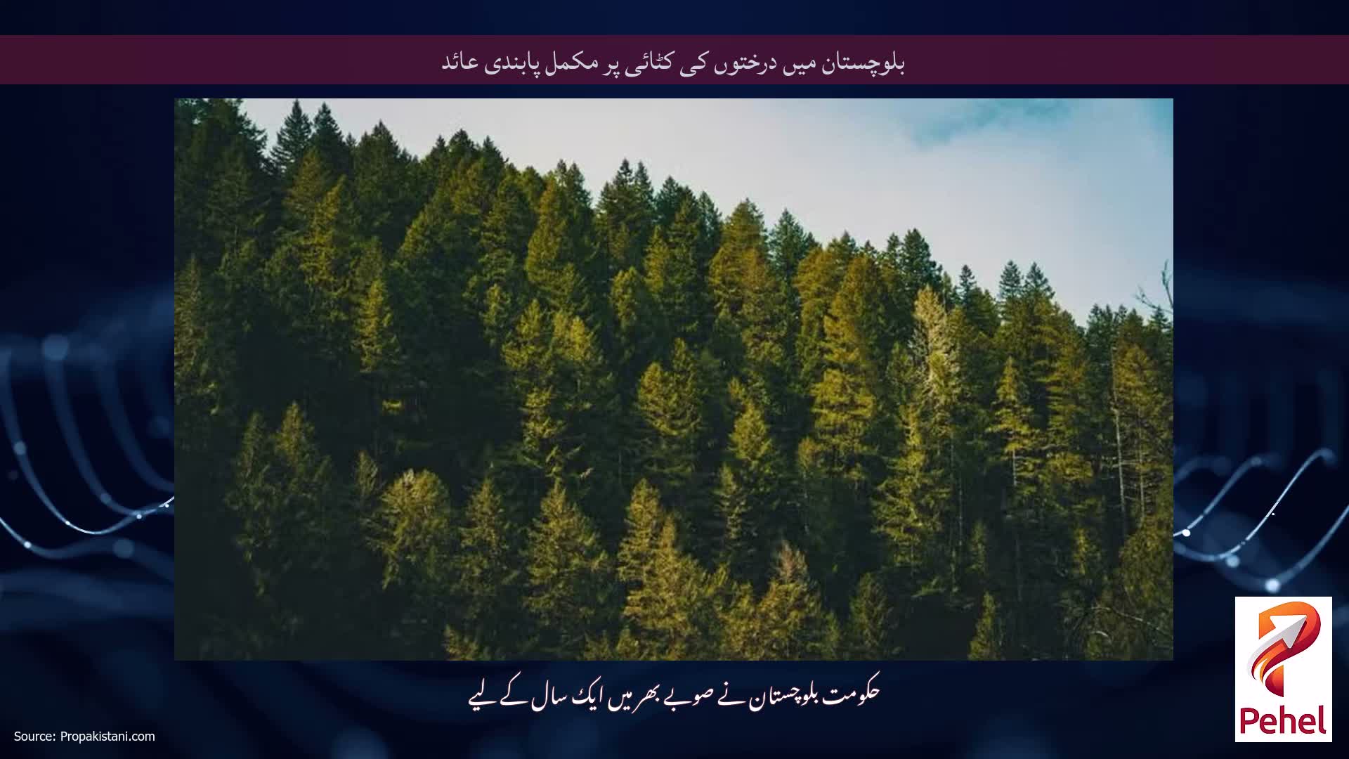 بلوچستان میں درختوں کی کٹائی پر مکمل پابندی عائد