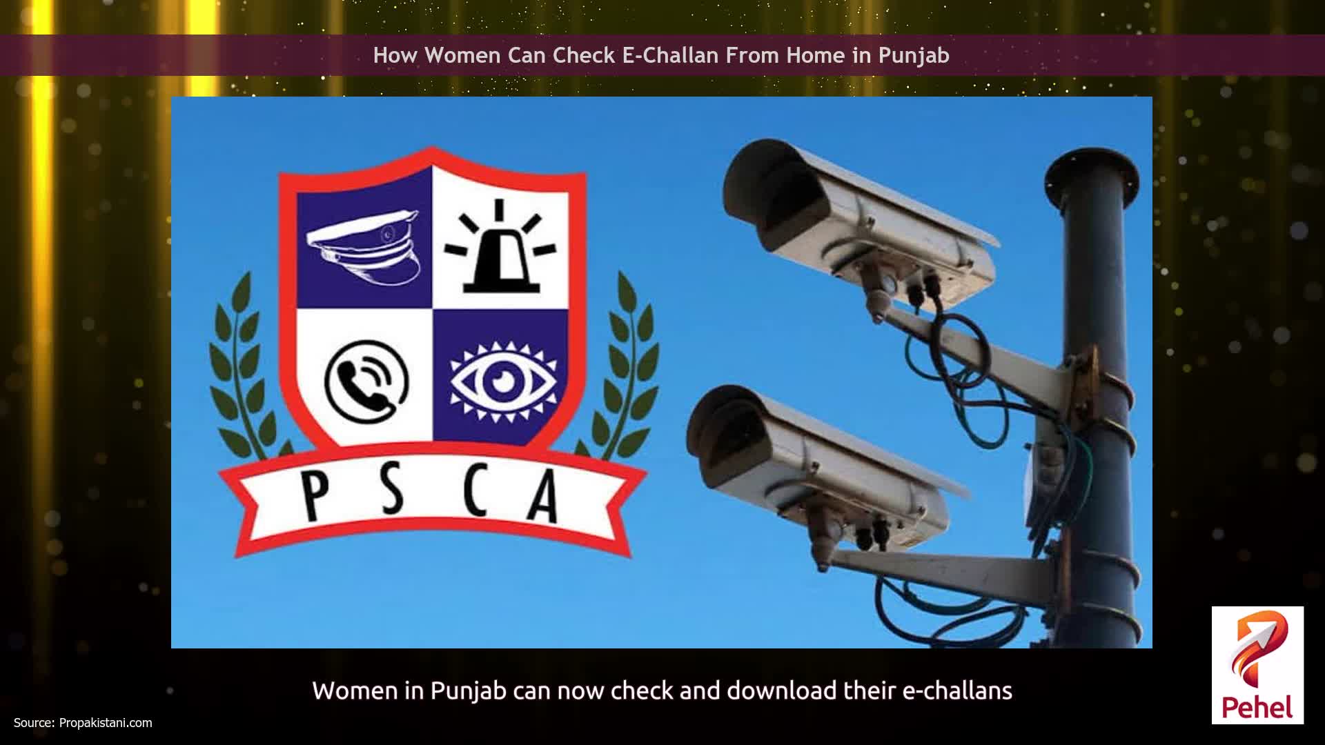 How Women Can Check E-Challan From Home in Punjab