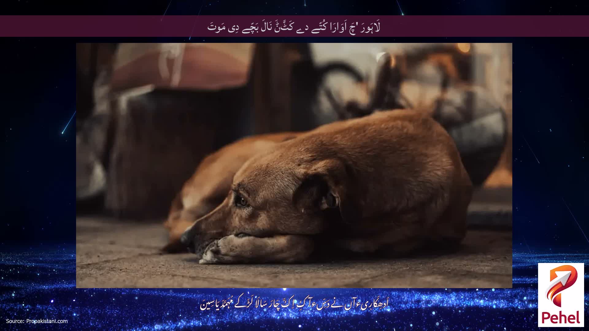 لَاہَورَ 'چَ اَوَارَا کُتّے دے کَٹَّݨَ نَالَ بَچّے دِی مَوتَ