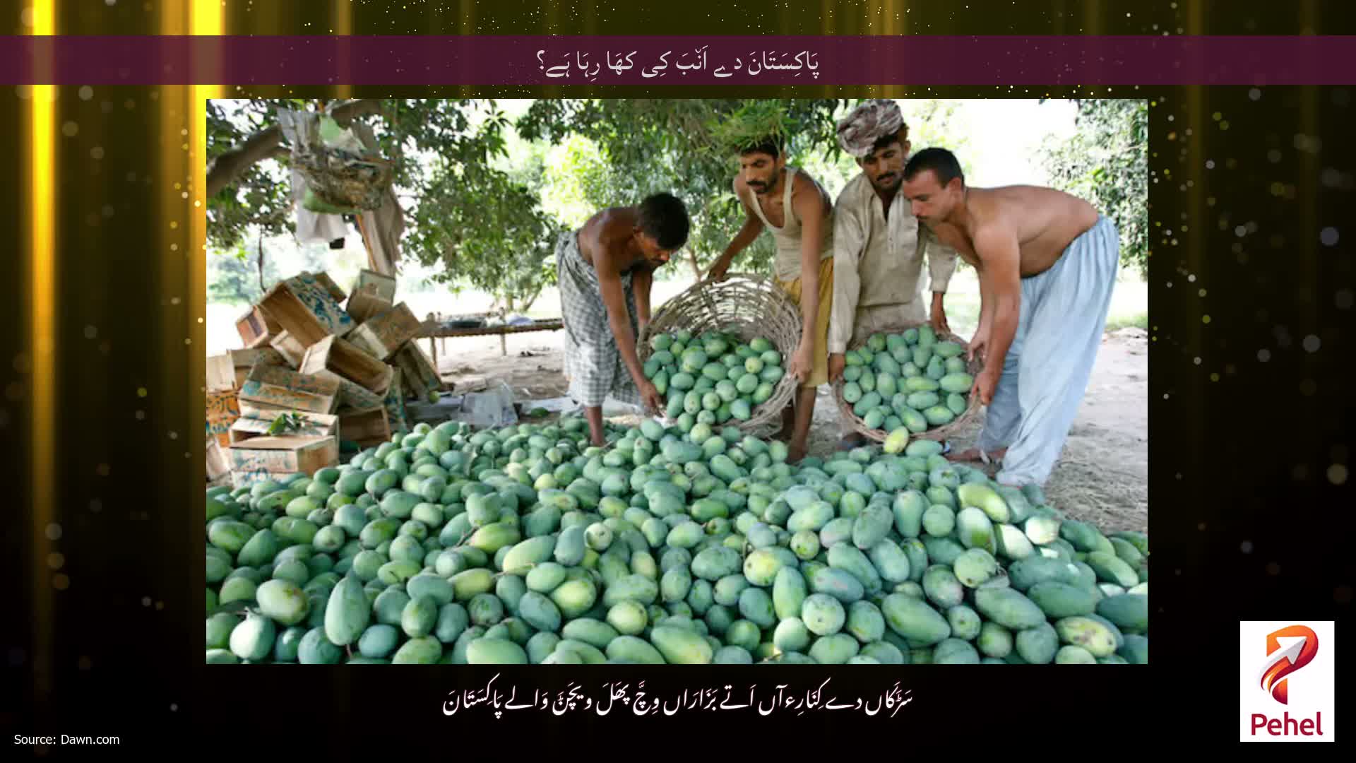 پَاکِسَتَانَ دے اَن٘بَ کِی کھَا رِہَا ہَے؟