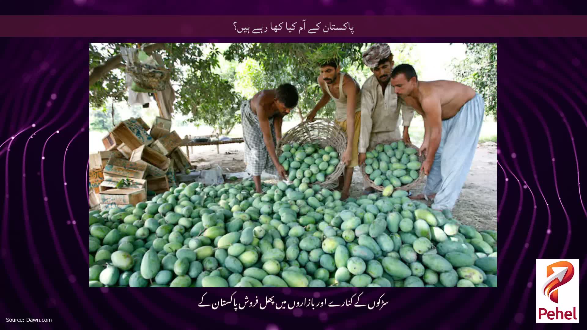پاکستان کے آم کیا کھا رہے ہیں؟