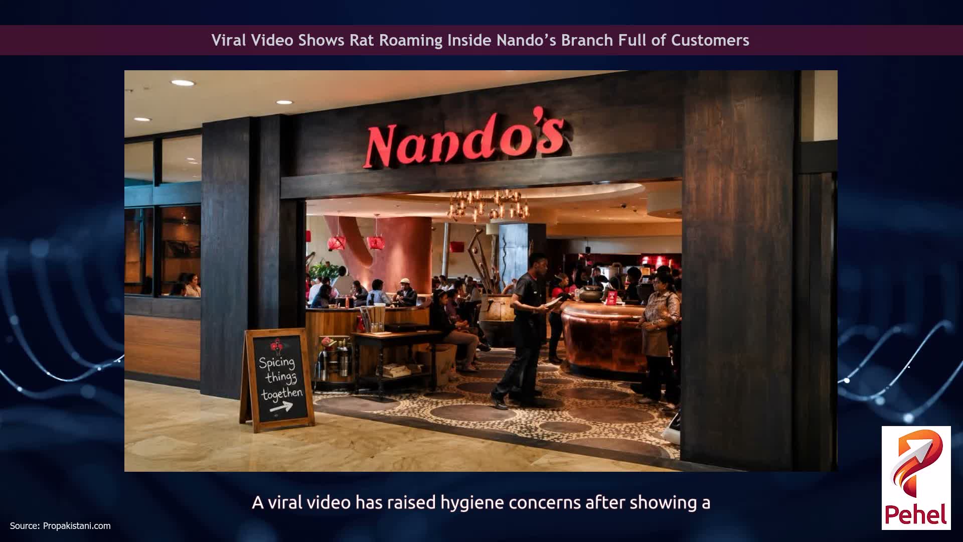 Viral Video Shows Rat Roaming Inside Nando’s Branch Full of Customers