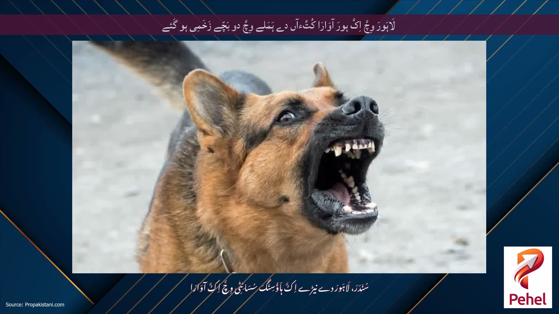 لَاہَورَ وِچَّ اِکَّ ہورَ آوَارَا کُتِّءآں دے ہَمَلے وِچَّ دو بَچّے زَخَمِی ہو گَئے