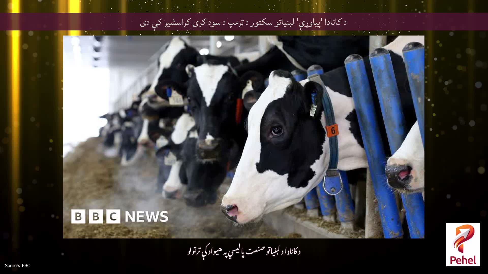 د کاناډا 'پیاوړې' لبنیاتو سکتور د ټرمپ د سوداګرۍ کراسشیر کې دی