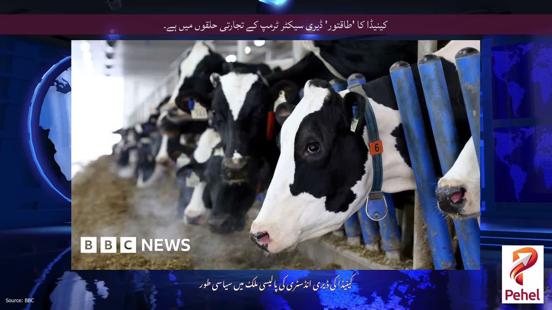 کینیڈا کا 'طاقتور' ڈیری سیکٹر ٹرمپ کے تجارتی حلقوں میں ہے۔