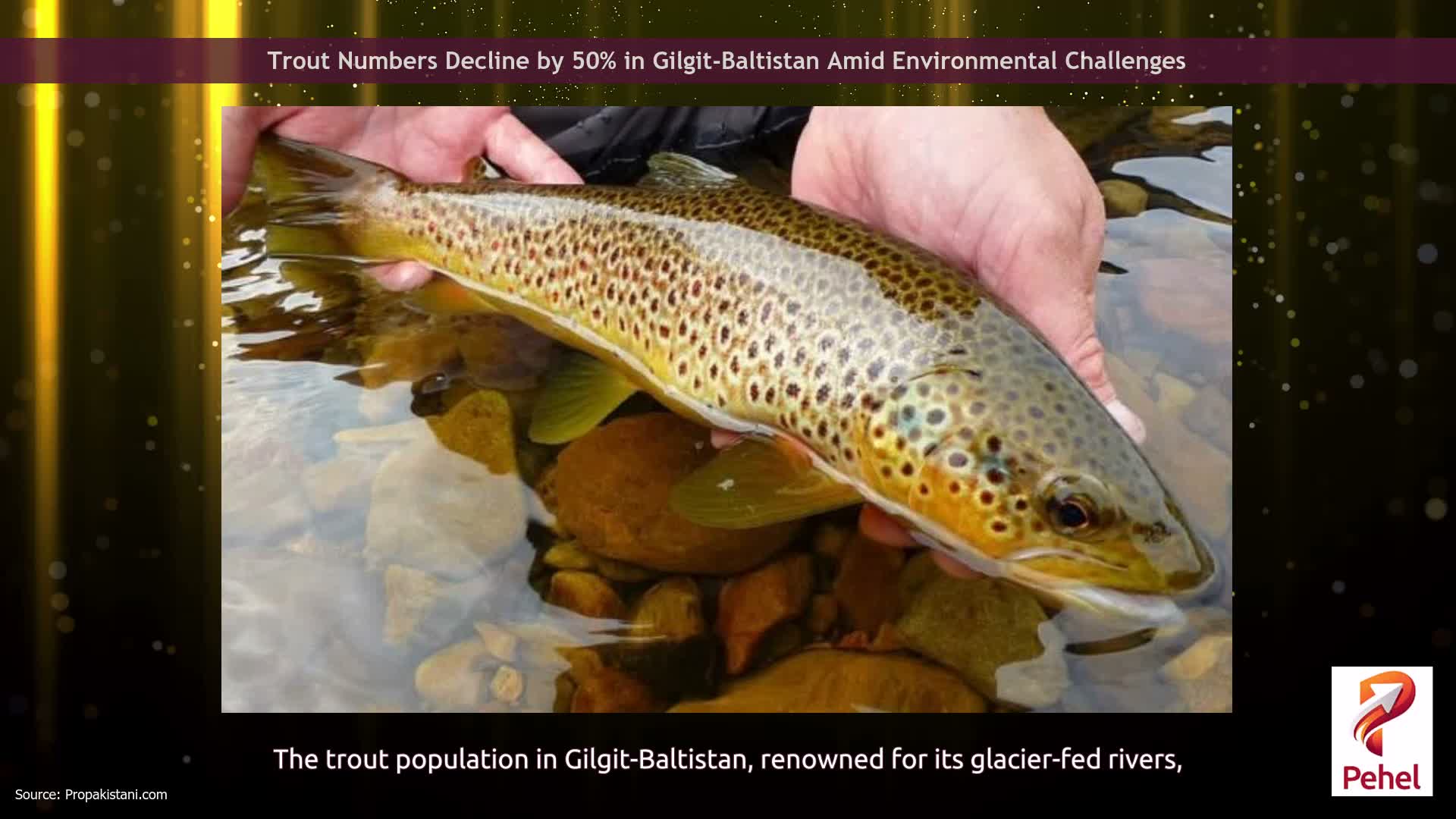 Trout Numbers Decline by 50% in Gilgit-Baltistan Amid Environmental Challenges