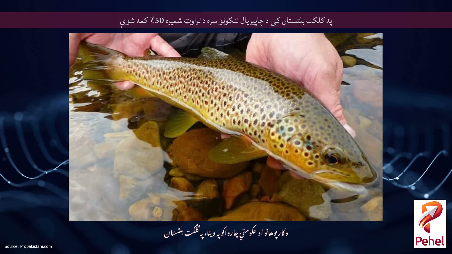 په ګلګت بلتستان کې د چاپیریال ننګونو سره د ټراوټ شمیره 50٪ کمه شوې
