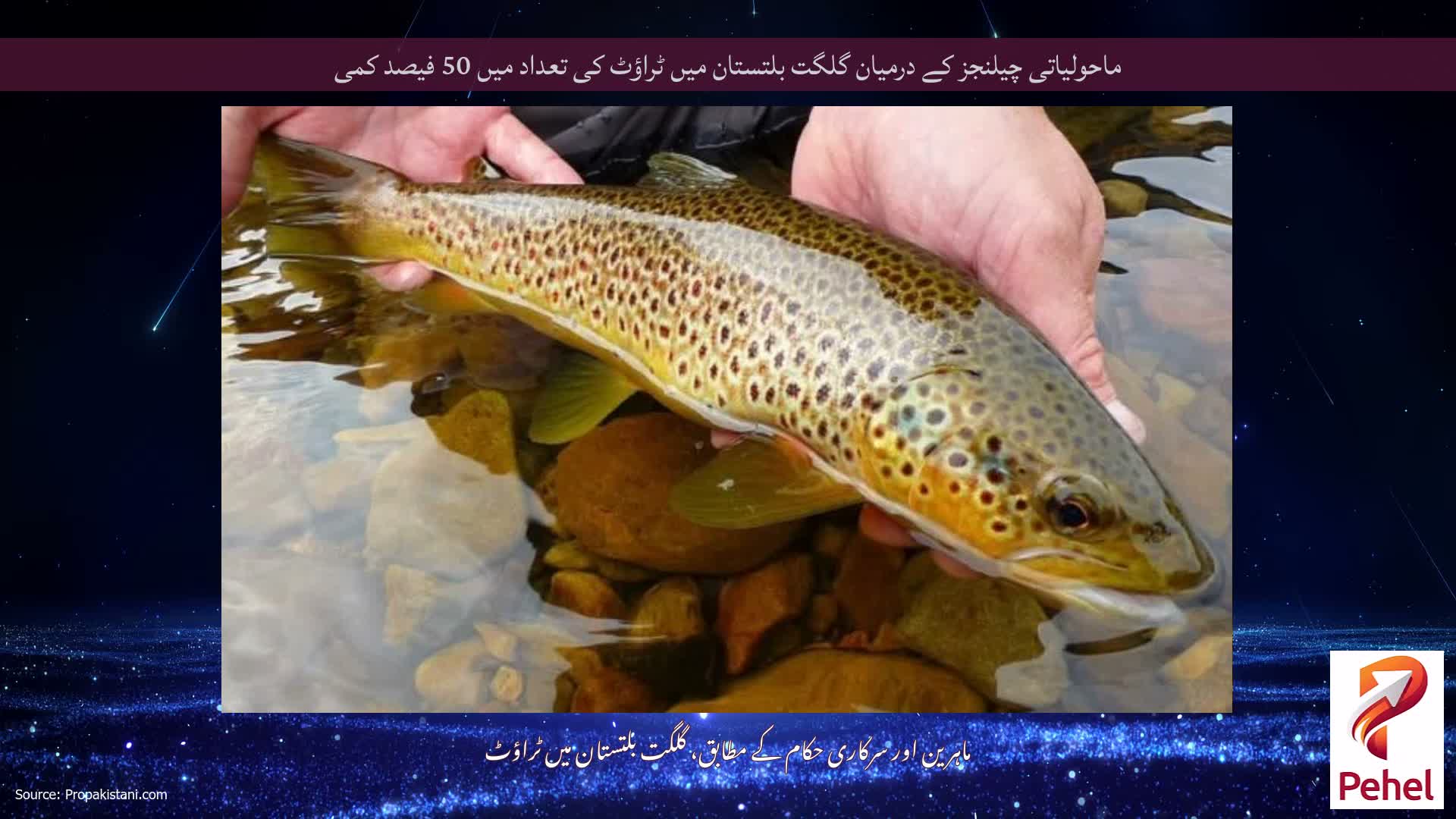 ماحولیاتی چیلنجز کے درمیان گلگت بلتستان میں ٹراؤٹ کی تعداد میں 50 فیصد کمی