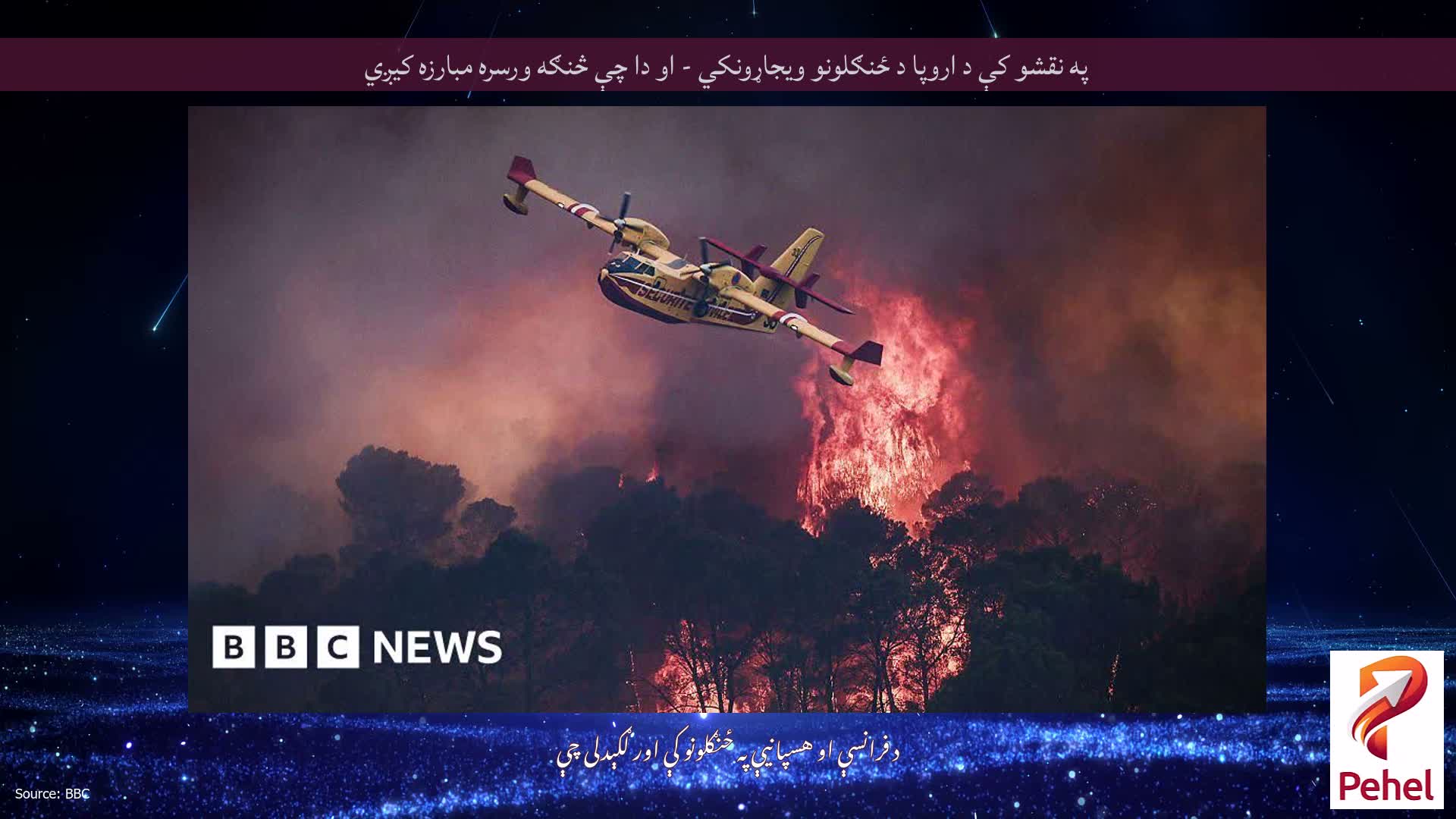 په نقشو کې د اروپا د ځنګلونو ویجاړونکي - او دا چې څنګه ورسره مبارزه کیږي