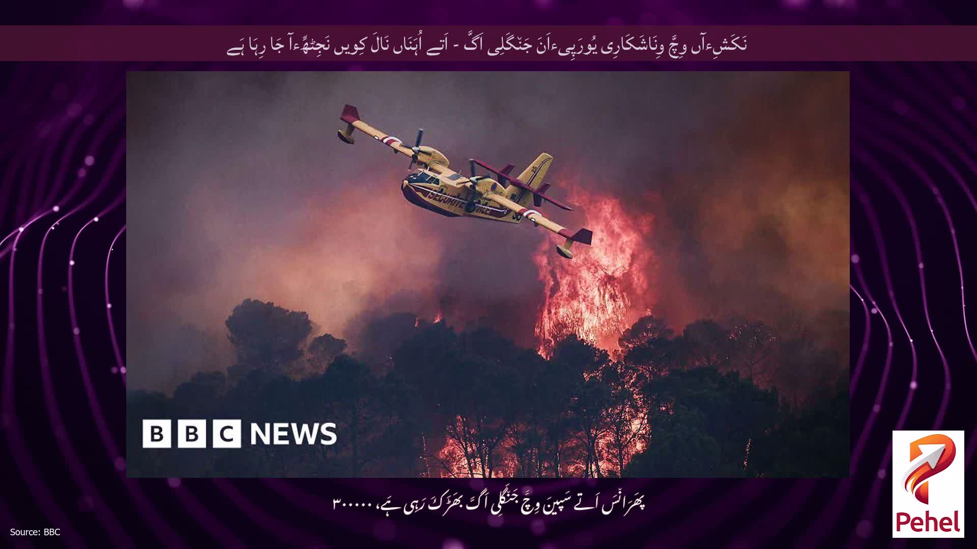 نَکَشِءآں وِچَّ وِنَاشَکَارِی یُورَپِیءاَنَ جَن٘گَلِی اَگَّ - اَتے اُہَنَاں نَالَ کِویں نَجِٹھِّءآ جَا رِہَا ہَے